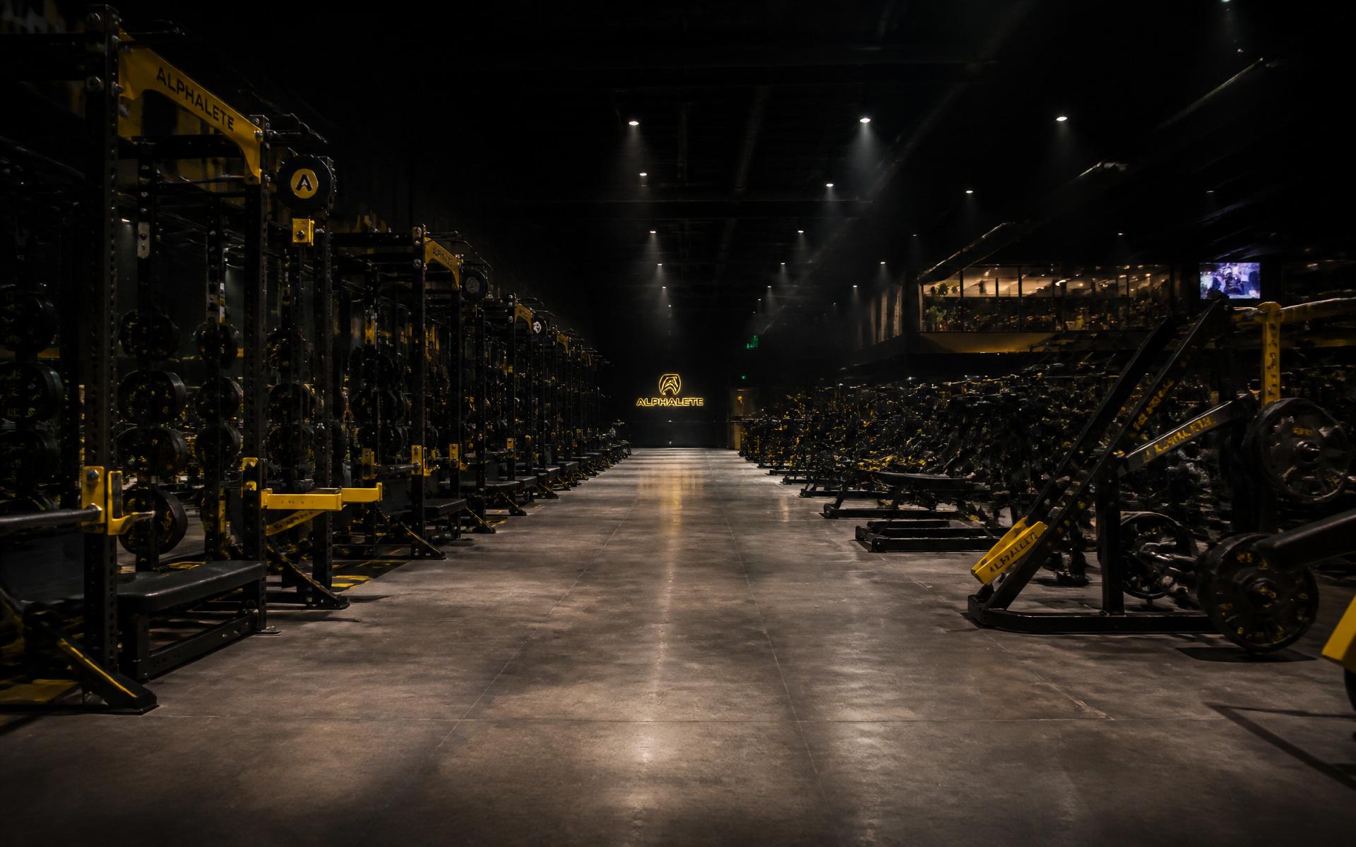 Elite commercial gym facility